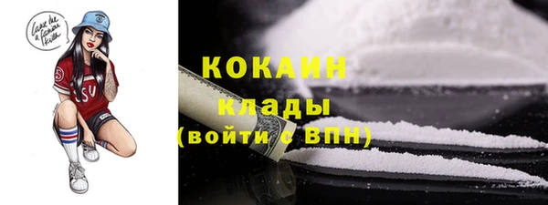 Альфа ПВП Богородск